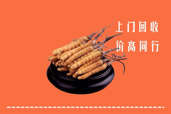 高价求购：缙云县回收散虫草