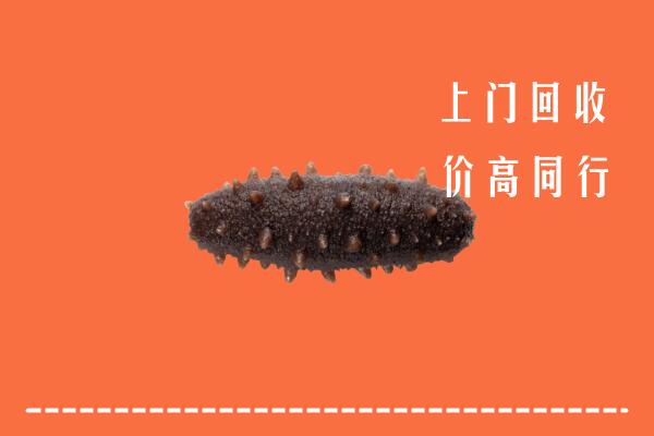 缙云县回收海参