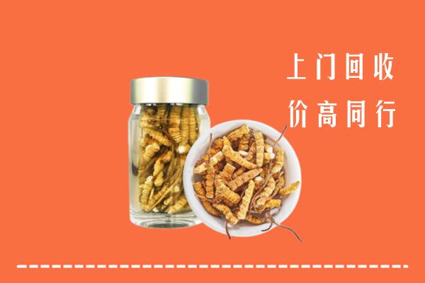缙云县回收冬虫夏草