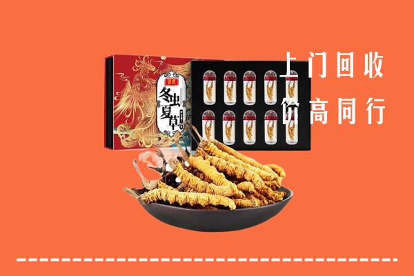 缙云县回收虫草